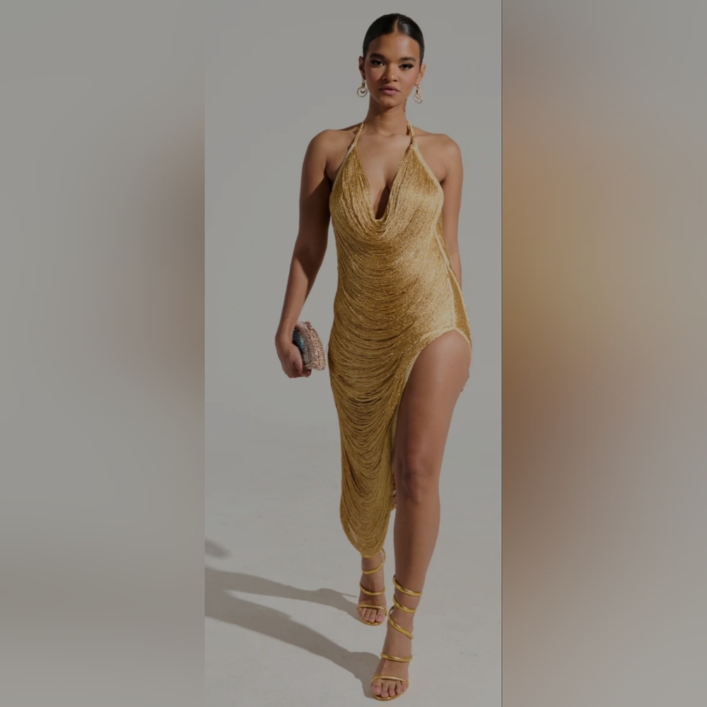 Gold Fringe dress by Akira